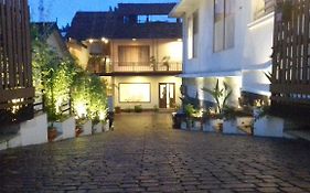 Olives Pleasant Stays